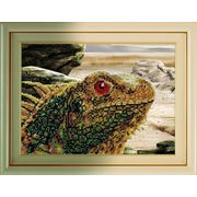 �������� ������� / B-22 �����