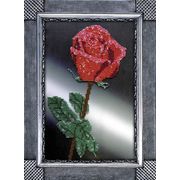 �������� ������� / B-8 ����